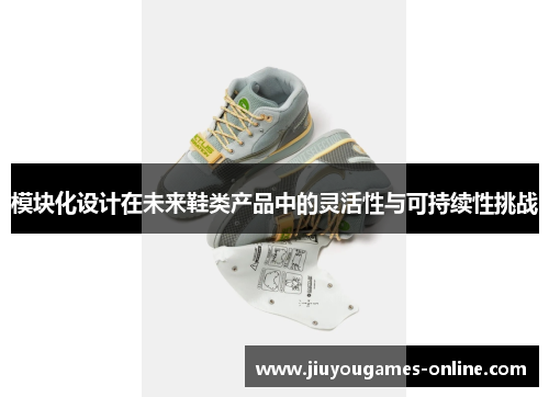 模块化设计在未来鞋类产品中的灵活性与可持续性挑战